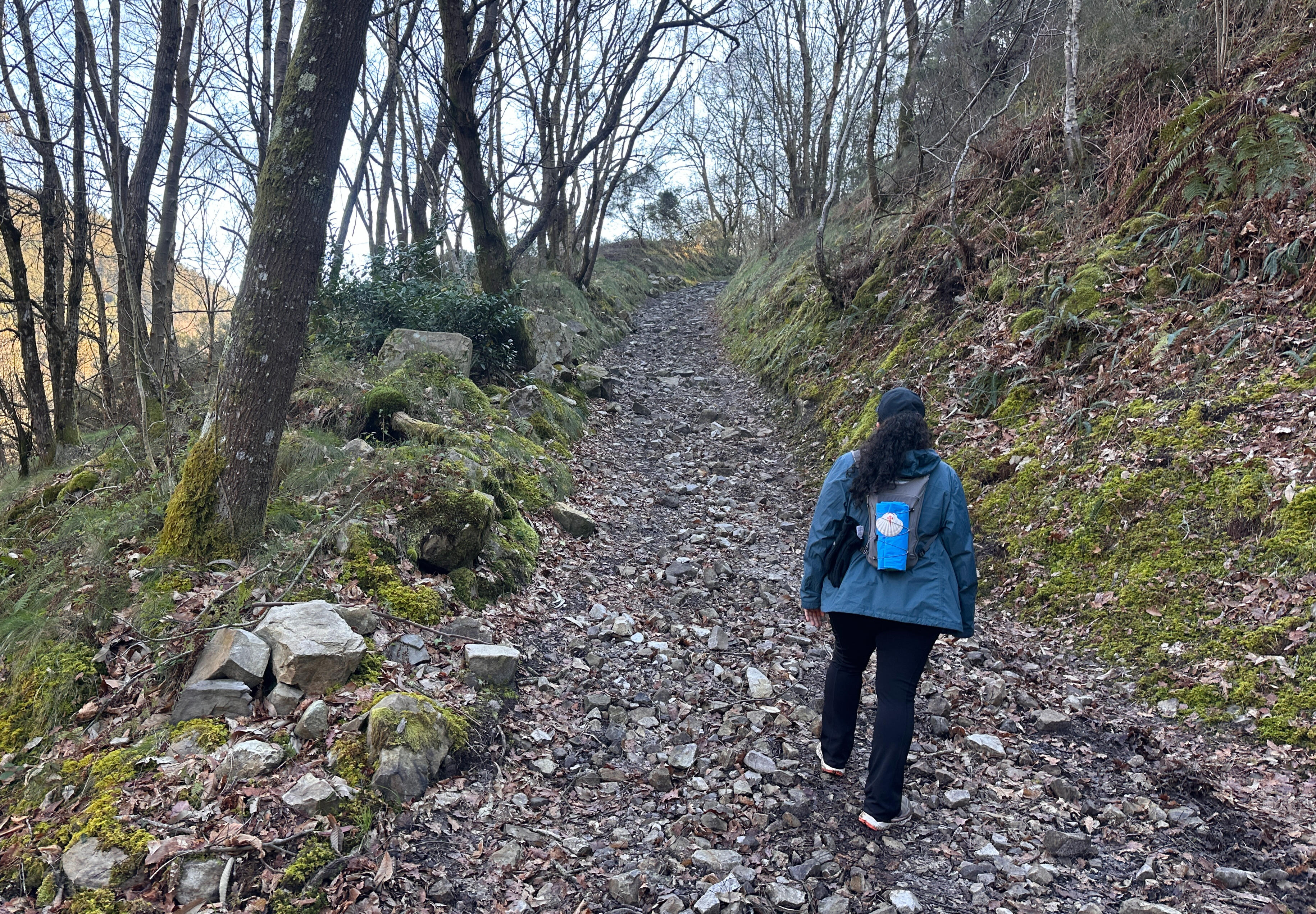 Woman walking up a scenic trail surrounded by blooming purple flowers and green bushes under a blue sky about to embark on the journey that is counseling and art therapy.